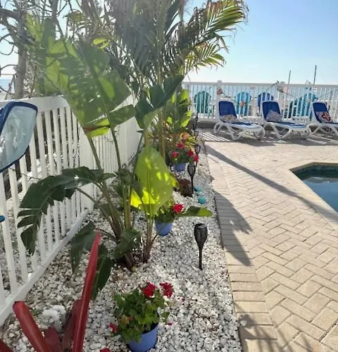 Beachfront Bliss Clearwater Beach
